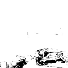 the ballad of gay tony