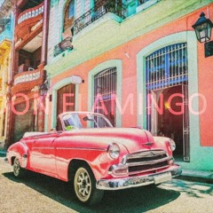 DON FLAMINGO