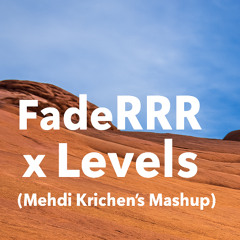 FadeRRR x Levels (Mehdi Krichen's Mashup)