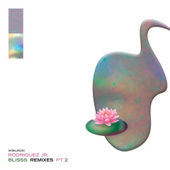 What Is Real (Floyd Lavine Remix)