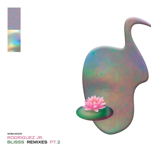 What Is Real (Floyd Lavine Remix)