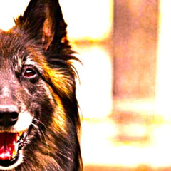 "Wellard" *SoundCloud Exclusive*