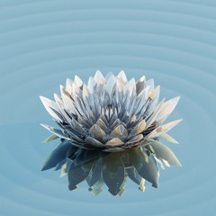 Serph / Heartbreaker