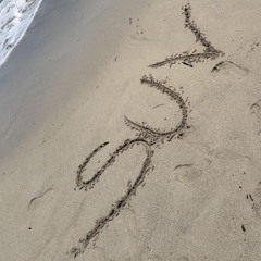 Sport Utility Vehicle