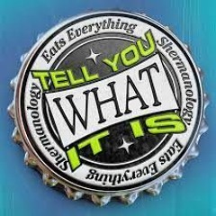 AudioDamage - Most Girlz Vs Eats Everything & Shermanology - Tell You What It Is