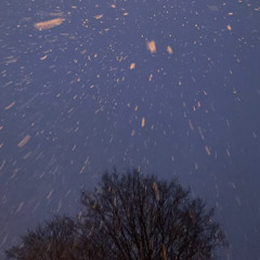 TWENTY7 (FREE FOR PROFIT | MERRY XMAS!!!)