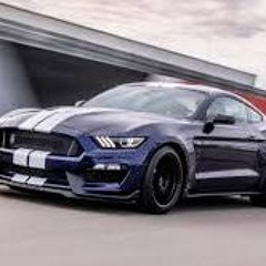 Ford Mustang Revving In Tunnel Sound - FREE NCS