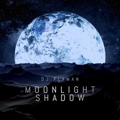 DJ Flyman - Moonlight Shadow ( Original Mix )