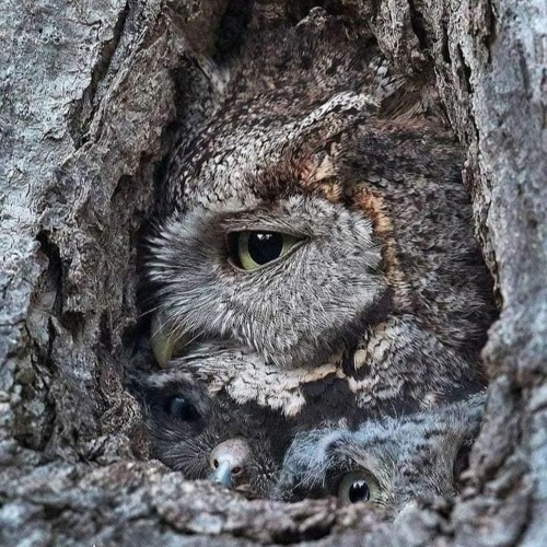 Max(Smokescreen)Camouflaged Disco MHYH radio show 03.07.2021