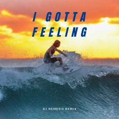 Nemesis-I Gotta Feeling (REMIX)
