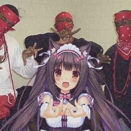 Shotgun willy - respected men