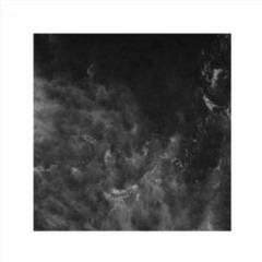 Sy(naps)e by Lauren Sum