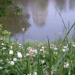 トレイル / 初音ミク