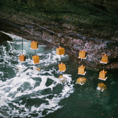 Fold invites Malin Genie - 08 December 2025