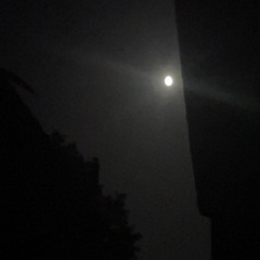 moonlight