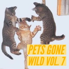 Pets Gone Wild vol.7