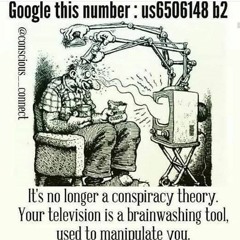 Tel-LIE-Vision