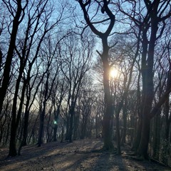 LuckyLuke - Verbessern