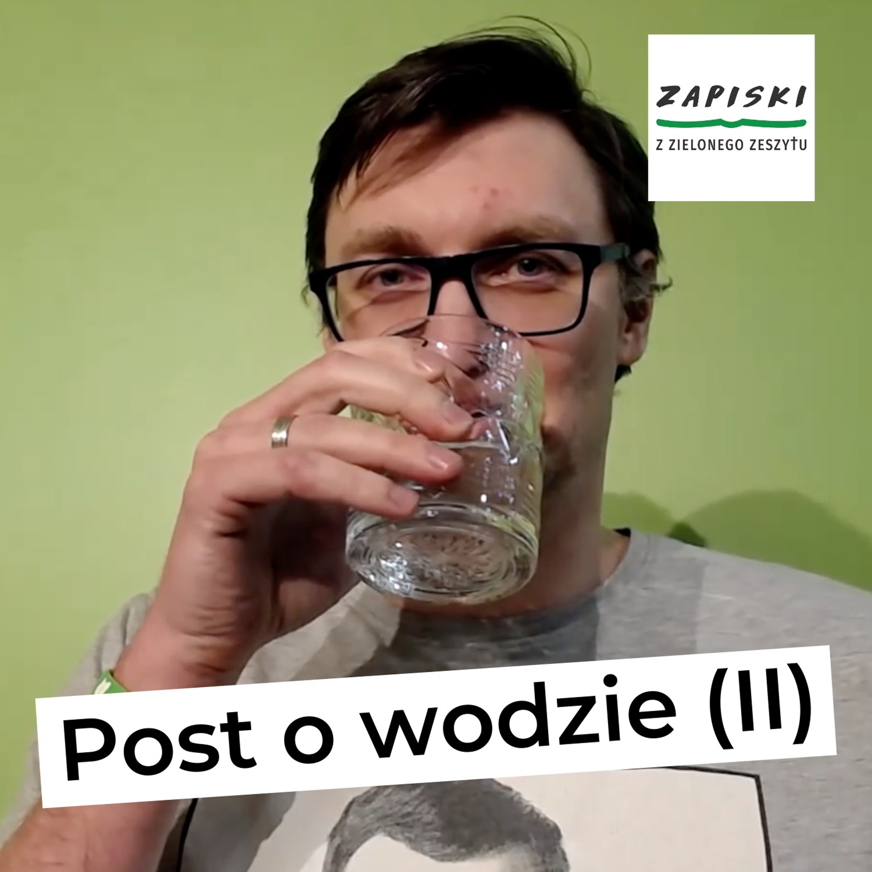 Zapiski z zielonego zeszytu