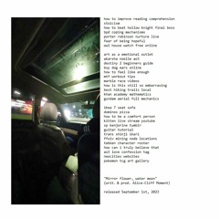 Mirror flower, water moon