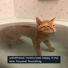 i realllllly wanna be a cat!