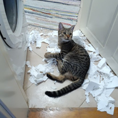 Ex>Misha - Ostajem sam