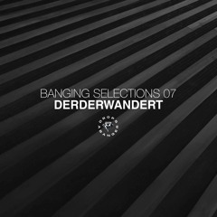 Banging Selections #07 by Derderwandert