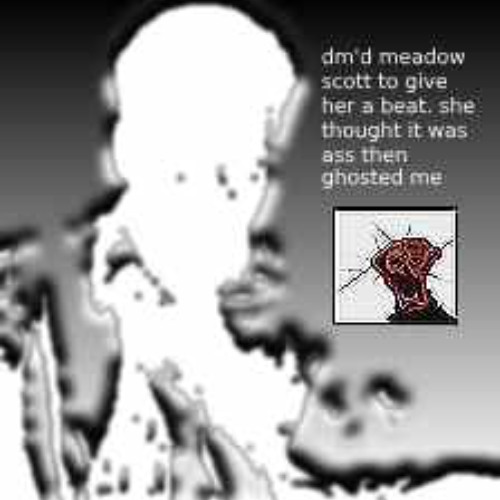 dm'd meadow scott to give her a beat. she thought it was ass then ghosted me (prod/kittyflower)