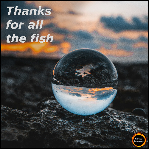 Universal Constructors - Thanks For All The Fish