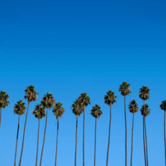 Beats by SARINA - Radio #01