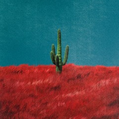 THE RODEO