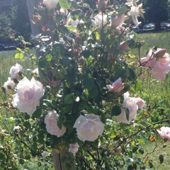 Dont Make Me Hurt U !