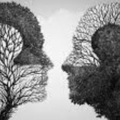 Reflet de Confiance (Musique originale : Audio Colors)