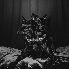 NTO x Sofiane Pamart - Loyalty