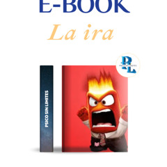 VISUALIZACIÓN IRA