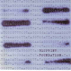 Mathis and Tetchener