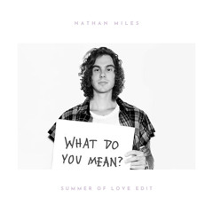 Justin Bieber - What Do You Mean (Nathan Miles Summer of Love Edit)