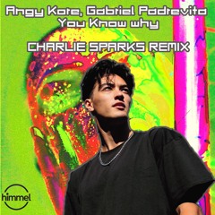 Gabriel Padrevita , Angy Kore - You Know Why (Charlie Remix Cut )