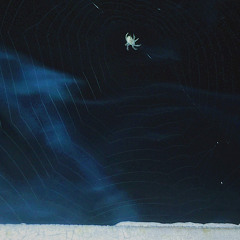 sakseev - deviant disco mix