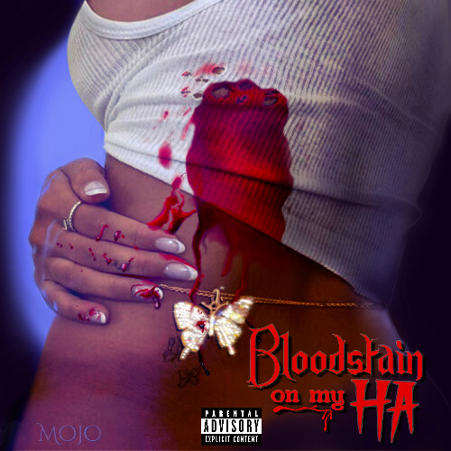 Bloodstain On My HA