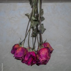 DEAD FLOWERS