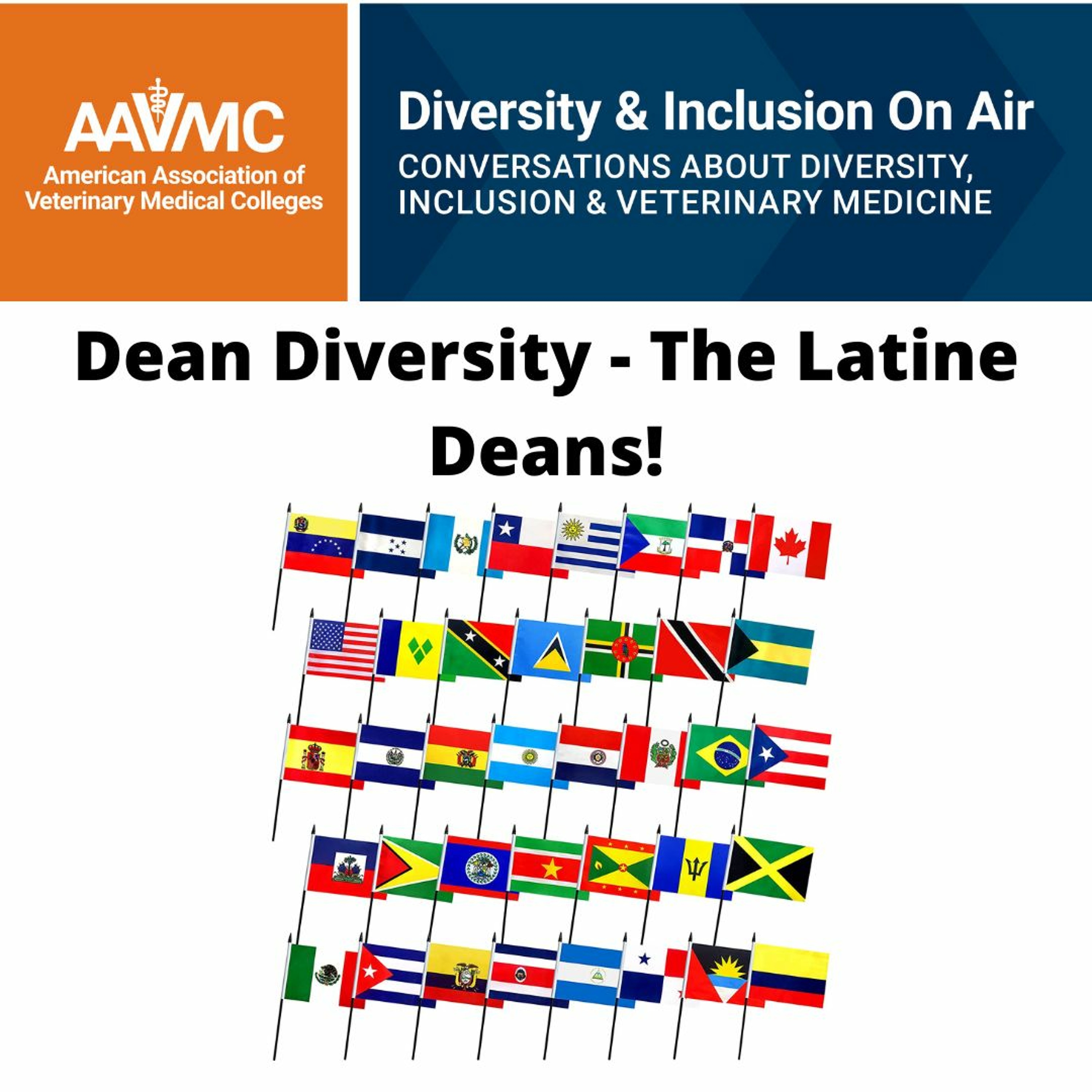 AAVMC\'s On Air: Conversations about Issues in Veterinary Medicine