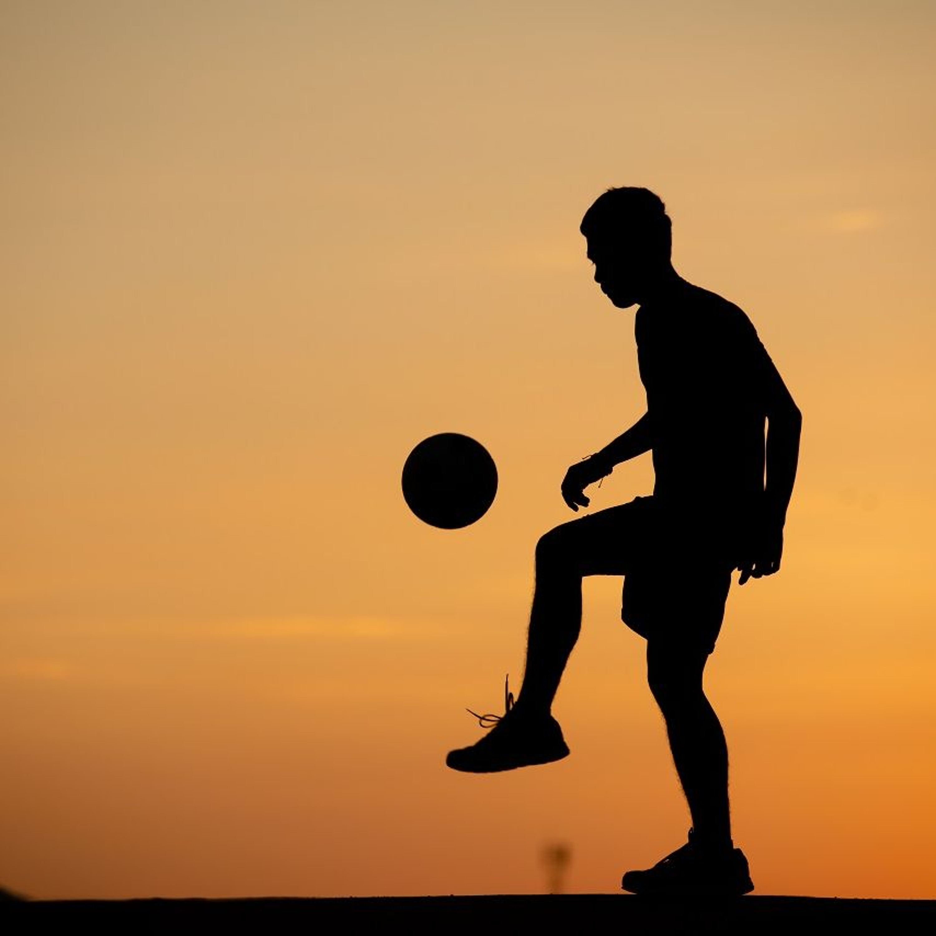 Opinion: The Benefits of Playing Sports Opinion: The Benefits of Playing Sports