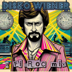 Disko Wiener [Nu-Disco / House Mix]