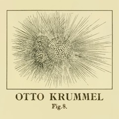 Otto Krummel - Figur 8 (Let Me Out)