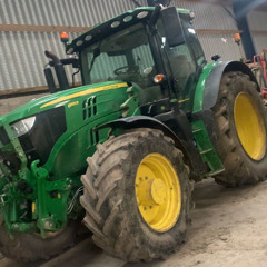 big bullock in the ring now 🤠