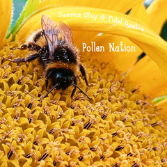 Pollen Nation