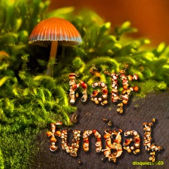 halF fungaL [disquiet0669]