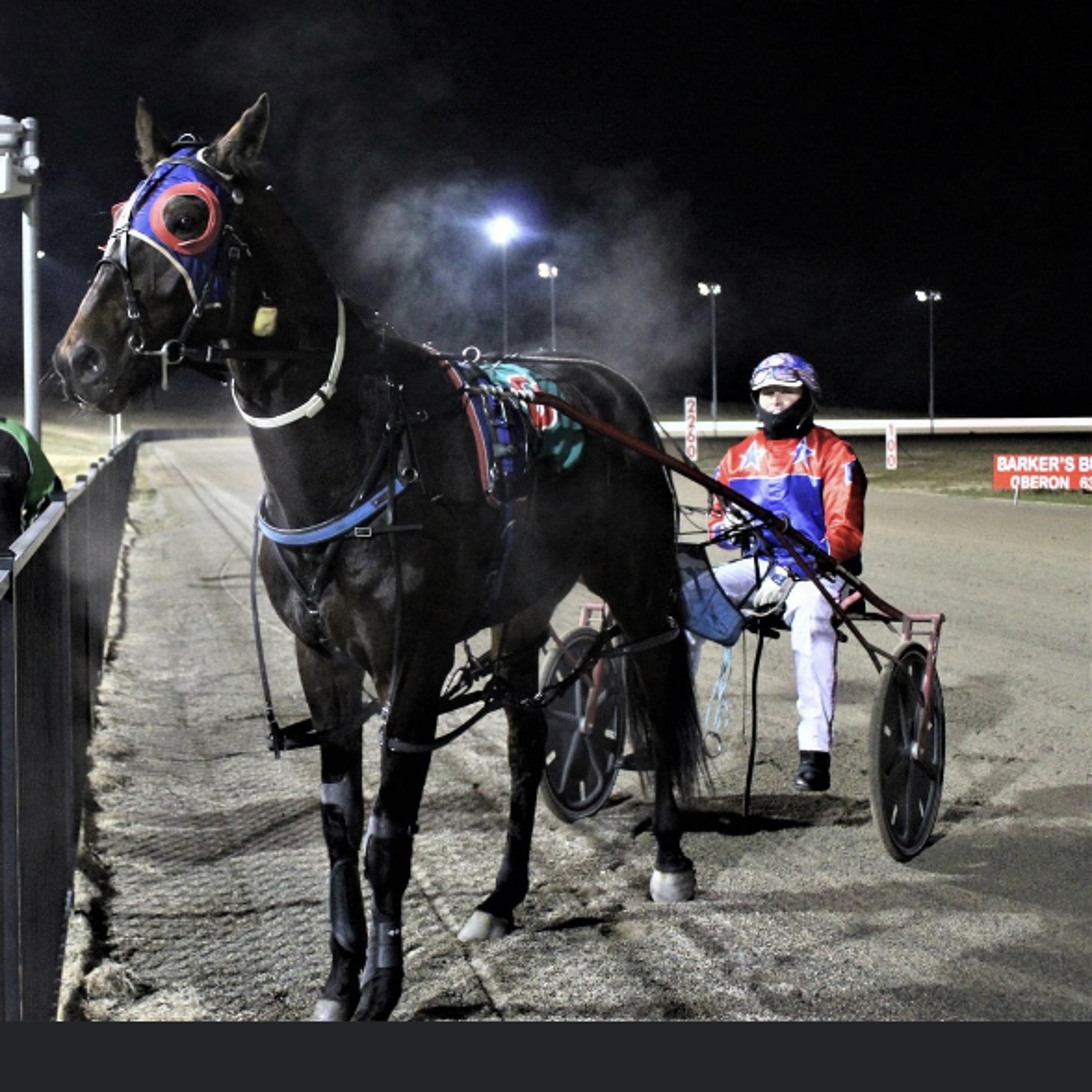 Episode 5. Nathan Turnbull