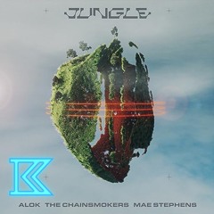 Alok, The Chainsmokers & Mae Stephens - Jungle (Ian Krasofsky Remix)